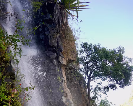 La rare et précieuse eau...