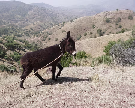Boucle dans les environs d'Espongeiro.