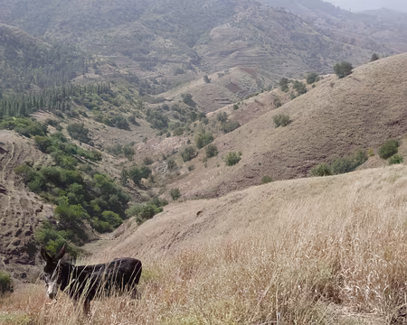 Boucle dans les environs d'Espongeiro.