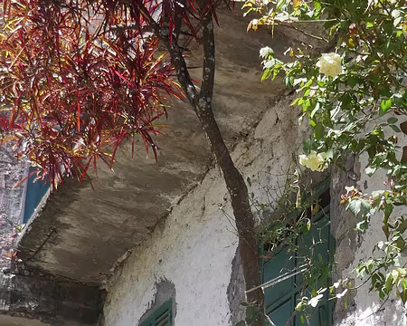 Arnaldo apprend son code pour passer le permis.