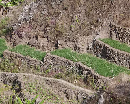 Étroites terrasses...