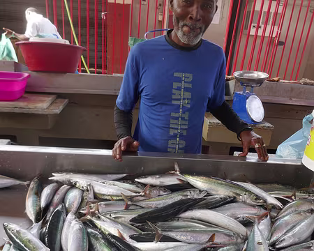 Marché aux poissons. Remarquez le panneau qui donne la taille minimale des poissons à commencialiser.