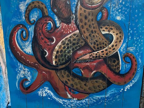 François François G, détail sortie