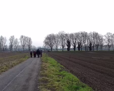 027 Le chemin de la Ferme de la Garenne dans le parc agricole d’Achères entre Seine et forêt
