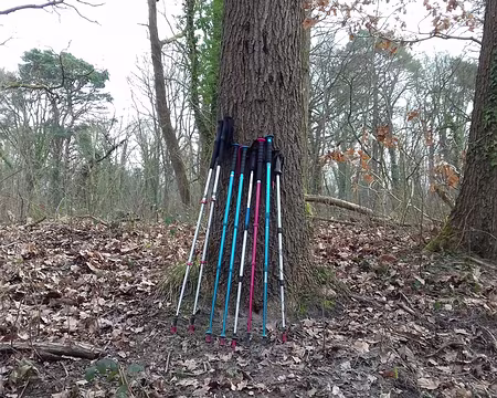 037 Bâtons regroupés et alignés pendant la pause pique-nique