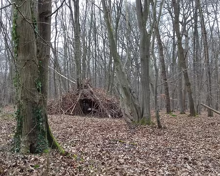 040 Une hutte au cœur de la forêt