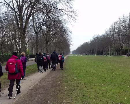 046 L’avenue Albine traverse tout le parc de Maisons-Laffitte, des Caves du Nord au château