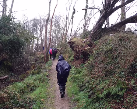 IMG_20250221_143801615