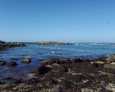 IMG_20250222_113401229