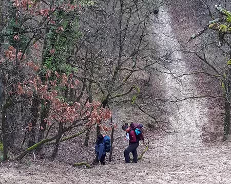 20250209_095012 Prendre ou pas de l'élan ?