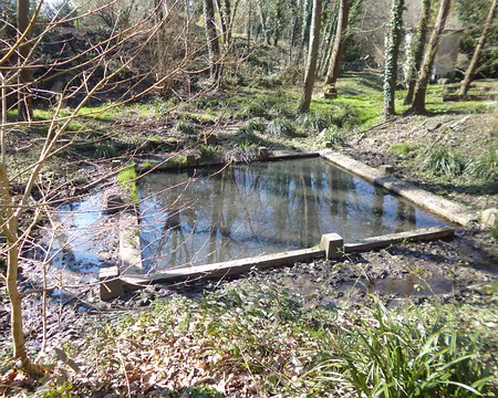 P1200812 Ancien lavoir dans le bois de la Cranne