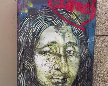 016 Le grand architecte François Mansart (1598-1606) par l’artiste C215 (Christian Guémy)