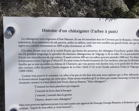 2025-03-29 11-34-51 et son histoire