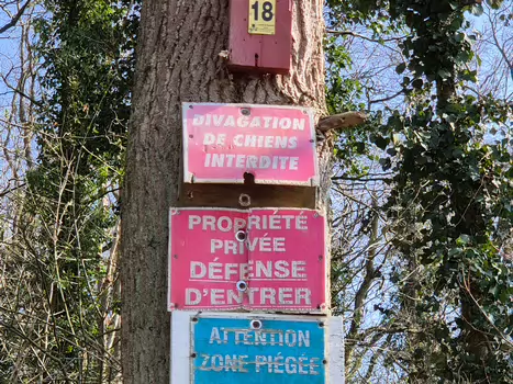 2025-03 Vexin en hiver