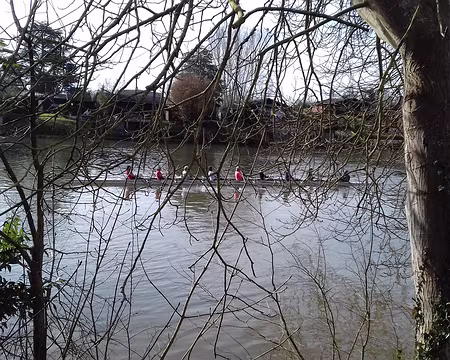 003 Aviron sur la Seine