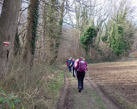 029 Sur le GR 2 entre bois et champs