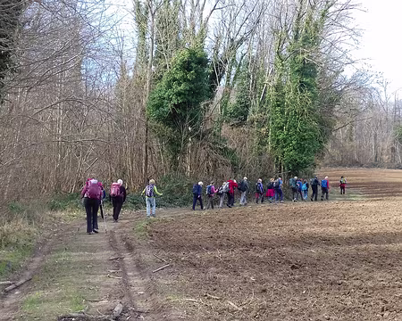030 Chemin de lisière (GR 2)