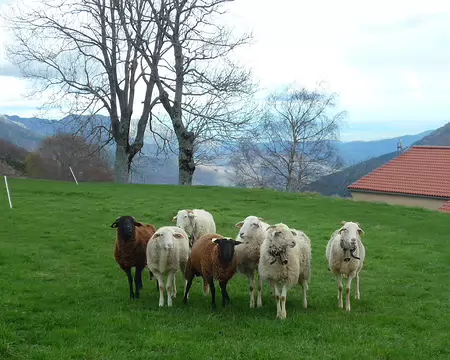 P1350768 Bien accueillie à Loubaresse.