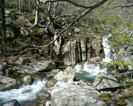 P1350776 Descente le long de la Drobie