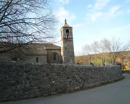 P1350786 Toujours très protégée ...