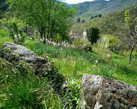 P1350788