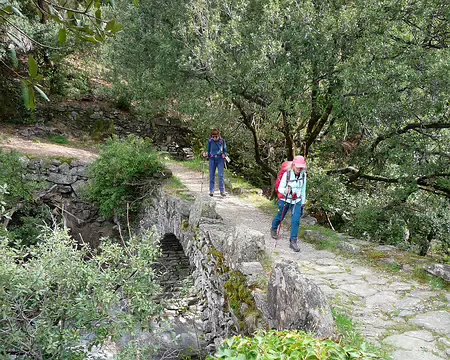 P1350792