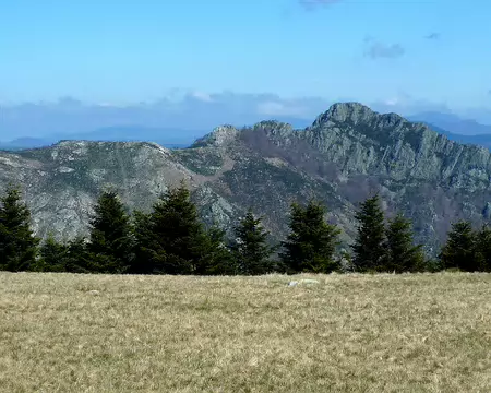 P1350841