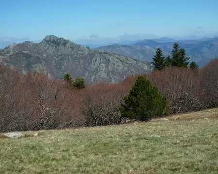P1350843