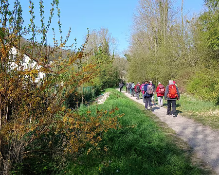 008 Le chemin longe le Sausseron, petit affluent de l’Oise