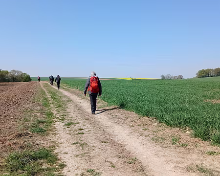 013 Sur le plateau, entre labours et blé en herbe