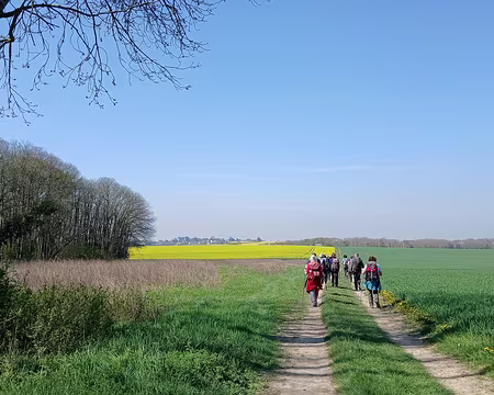 015 Entre bois et champs