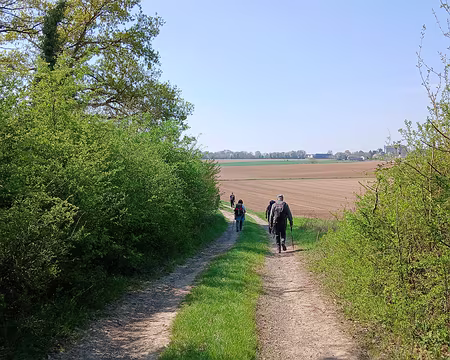 016 Au détour du chemin. Au loin, le village d’Héricourt