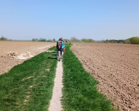 026 C’est ici que Vincent Van Gogh a peint plusieurs tableaux en 1890 …