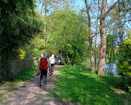 046 Agréable chemin ombragé