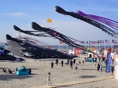 2025-04 Côte d'Opale