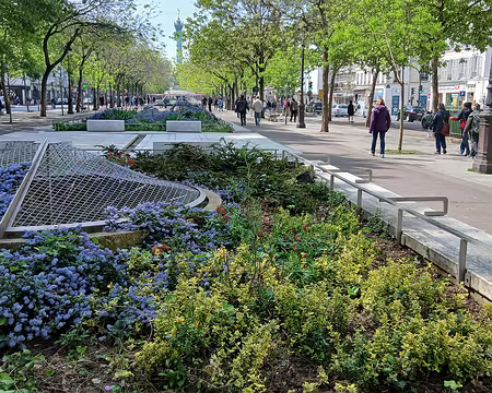 041 Promenade Claire Lacombe au-dessus du canal Saint-Martin (boulevard Richard Lenoir). Oculus de ventilation au milieu des céanothes