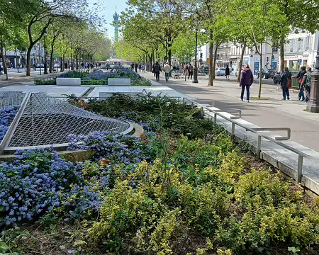 041 Promenade Claire Lacombe au-dessus du canal Saint-Martin (boulevard Richard Lenoir). Oculus de ventilation au milieu des céanothes