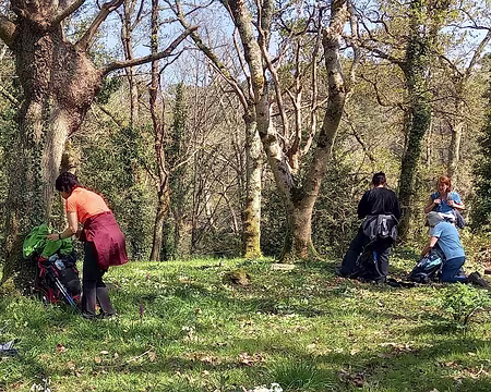 20250406_133052-01 Pause déjeuner dans l'Anse de Lanriot. Au 1er plan, ail triquètre.