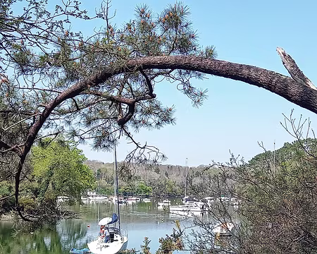 20250406_134547-01 Port du Bélon