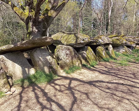 20250406_135812-01 Belle allée couverte de Kermeur Biha, 11 pilers et 6 dalles.