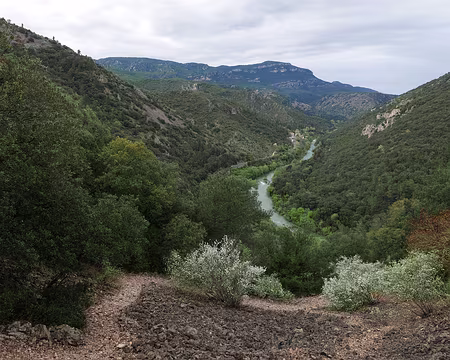 P1180508 Vue sur les gorges de l'Hérault en descandant dans la combe de Brunan.
