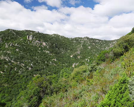 P1180526 Vue sur la combe des frères avec en face sur le GR74 l'ermitage N-D de Belle Grâce.