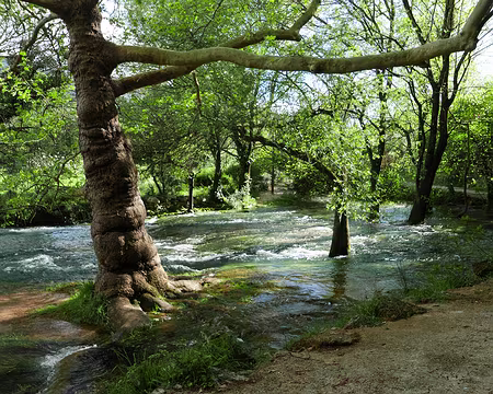 P1180558 Source de la Buèges.