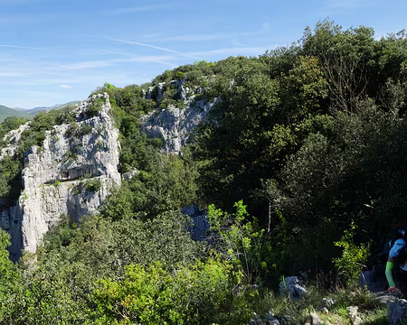 P1180575 Arrivée sur le haut du Thaurac par un discret sentier ! Au loin le Ranc de Banes (713m).