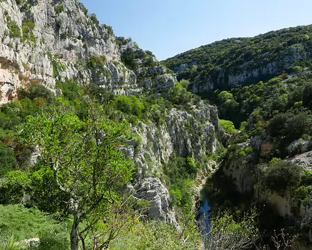 P1180587 Vire et gorges du Lamalou.