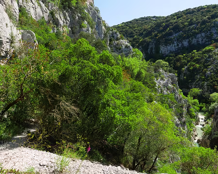 P1180593 Vue sur les gorges du Lamalou.