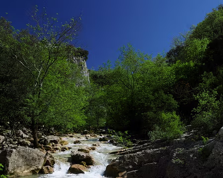 P1180597 La Lamalou à l'extrémité ouest du PR du Ravin des Arcs (boucle de 3,2 km).
