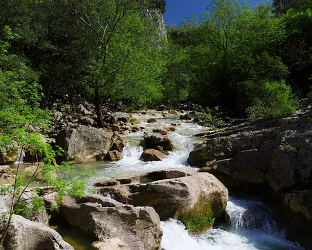 P1180599 La Lamalou à l'extrémité ouest du PR du Ravin des Arcs (boucle de 3,2 km).