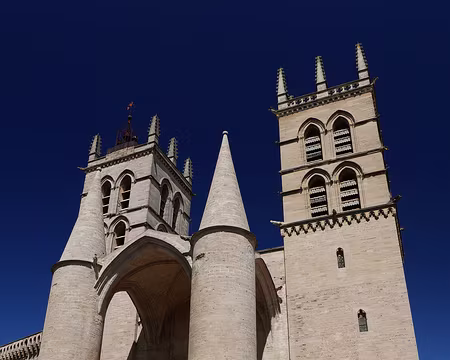 P1180618 Cathédrale Saint-Pierre.