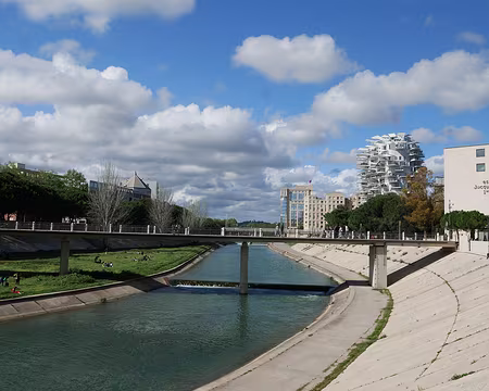 P1180625 Vue sur l'arbre blanc et l'hôtel de région Occitanie.